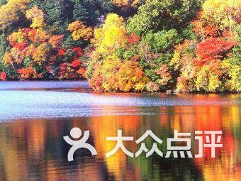 盗贼之海