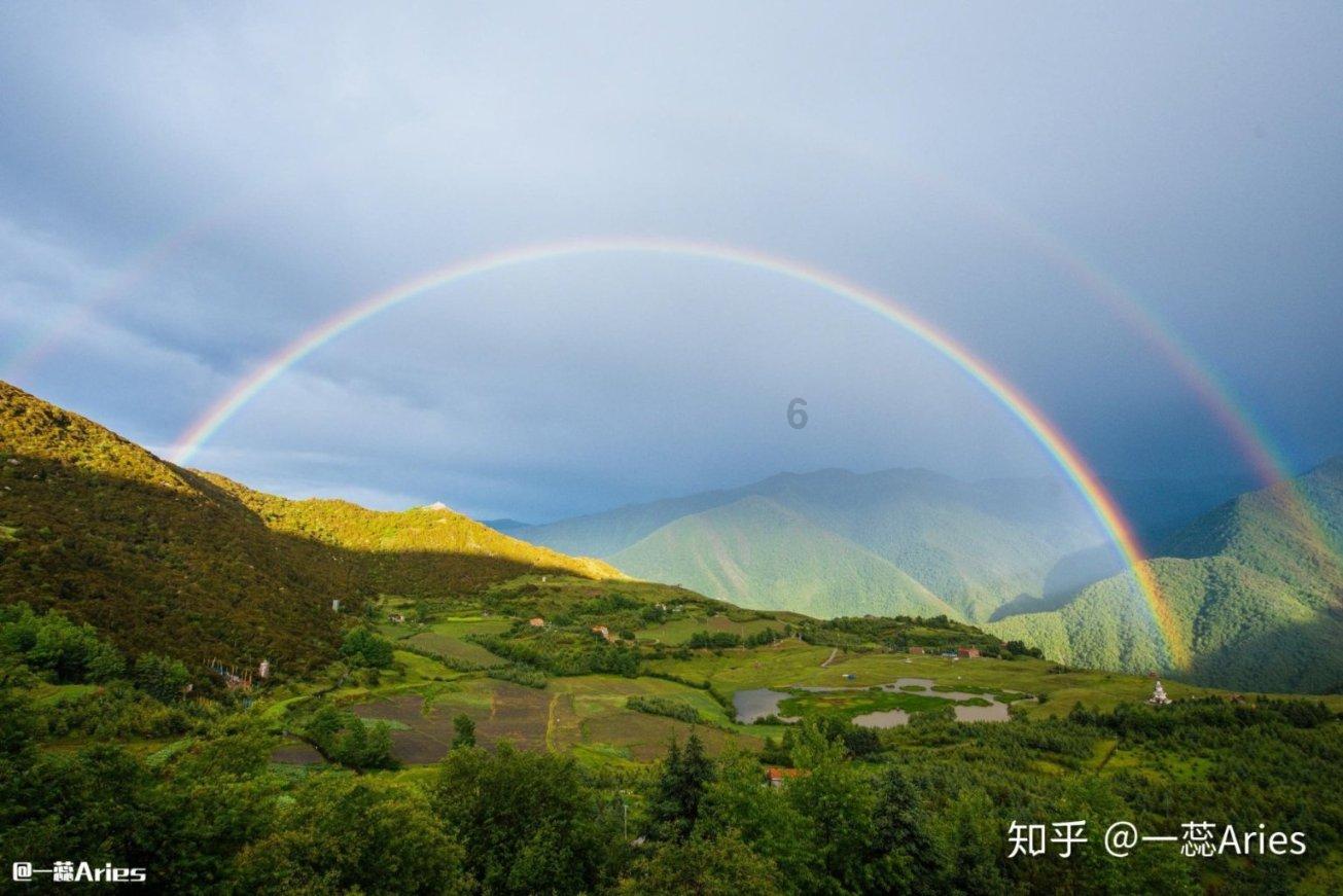 自主选育品种已成广西甘蔗种植主力军