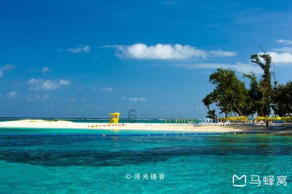 春雨直播app