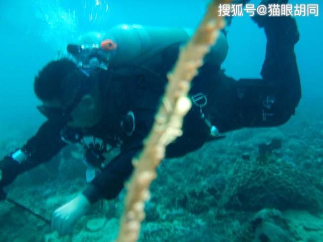 里约奥运会