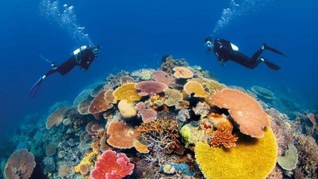 你认为谈恋爱要不要在朋友圈公开？游戏画面