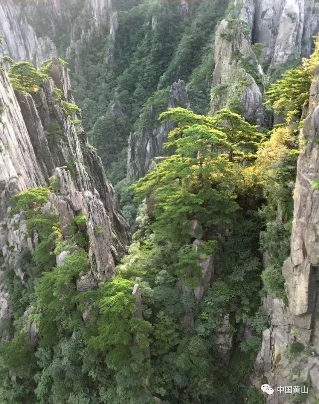 暗影之刃