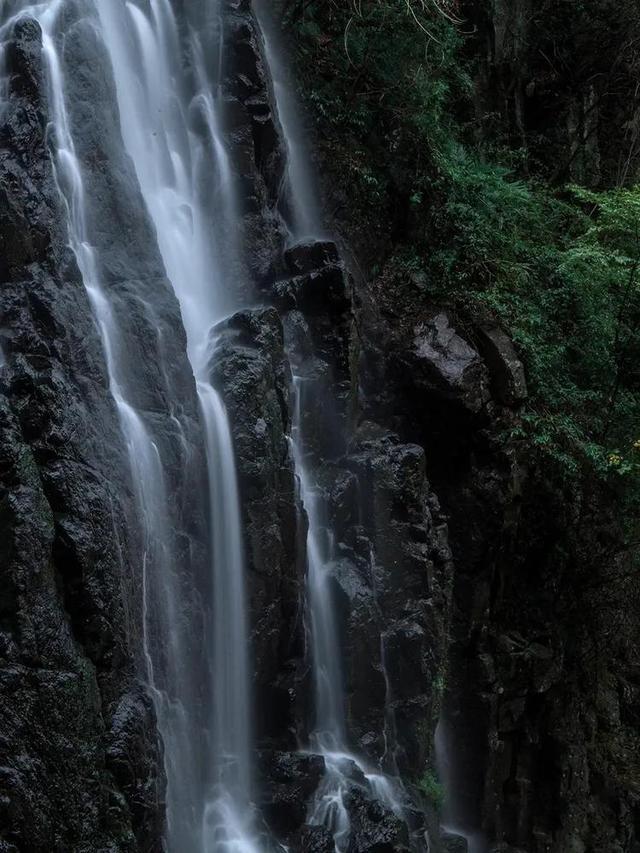 西瓜地逃生
