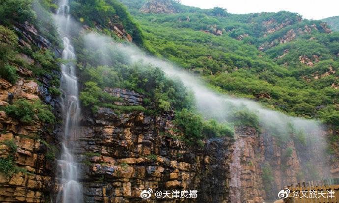 动物帮帮忙保卫家园