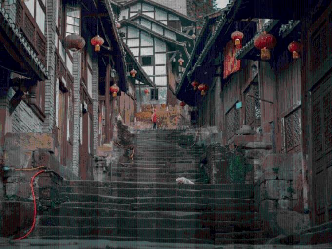 森林的奇迹