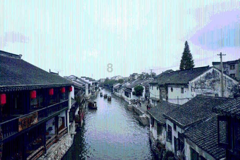 跨越山川湖海 浙江 “地瓜”经济如何根壮藤广？