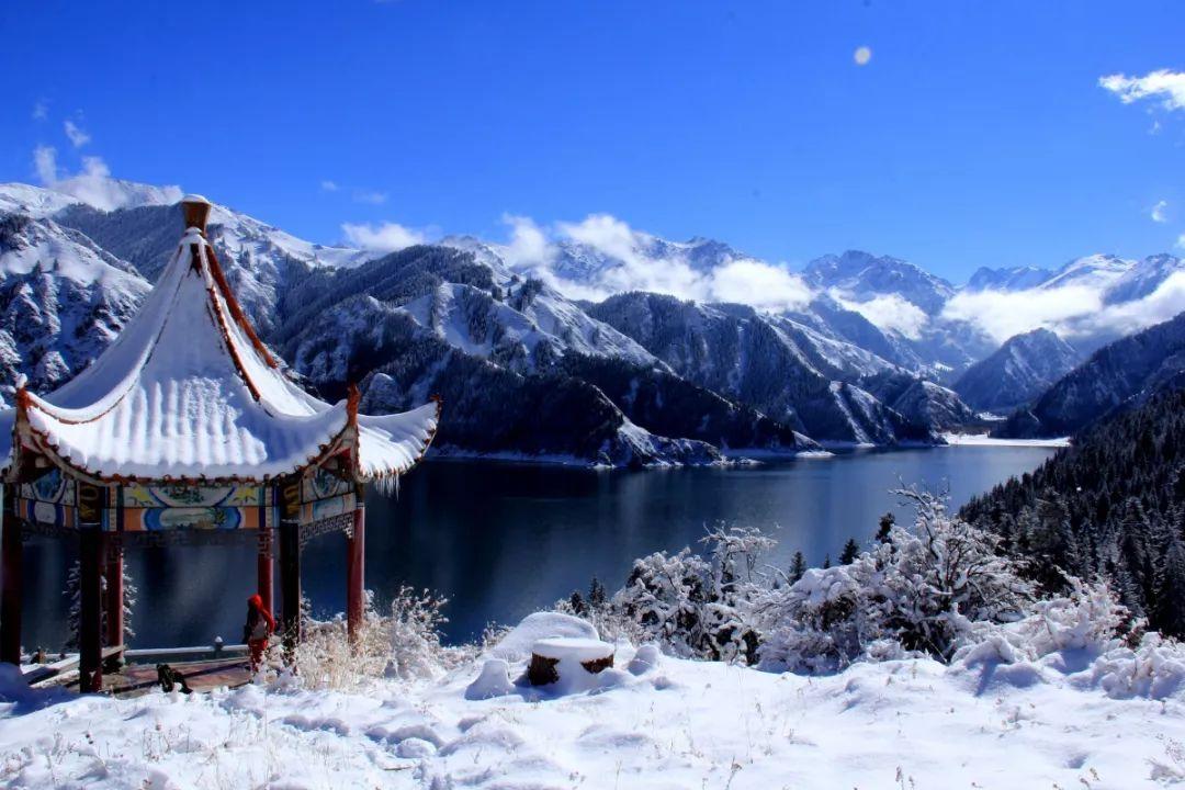 镜之边缘：催化剂